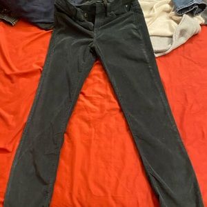 dark teal corduroy Calvin klein jean